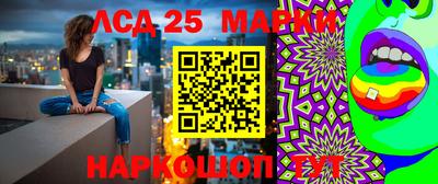 метадон Аргун