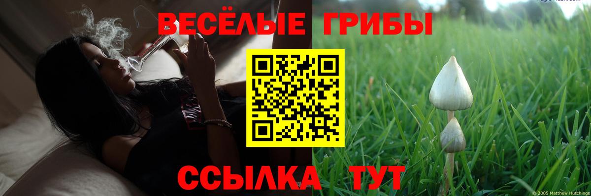 Псилоцибиновые грибы мухоморы  Вход с VPN  Ачхой-Мартан 